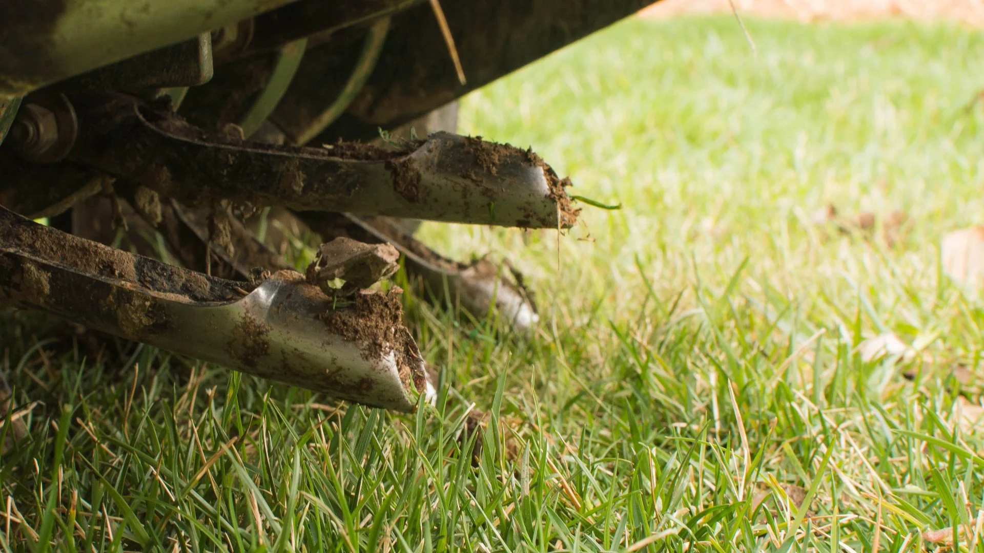 Help Your Lawn Reach Its Full Potential This Fall by Having It Aerated!