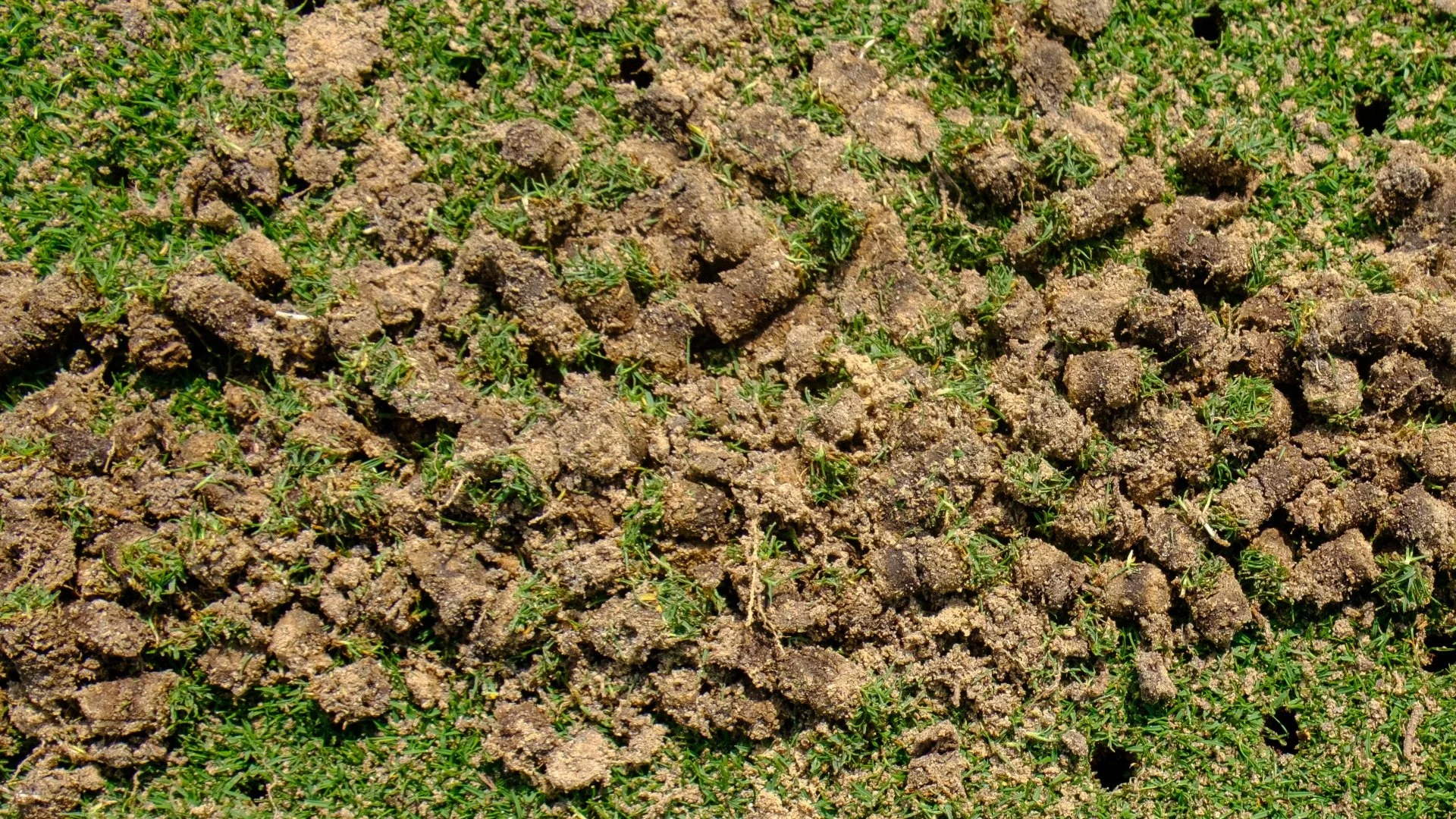 Why Are Soil Clumps Left on Lawns After Core Aeration?