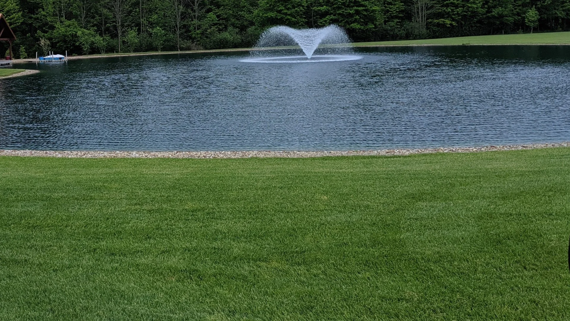 Always Pair Lawn Fertilization Treatments With Weed Control