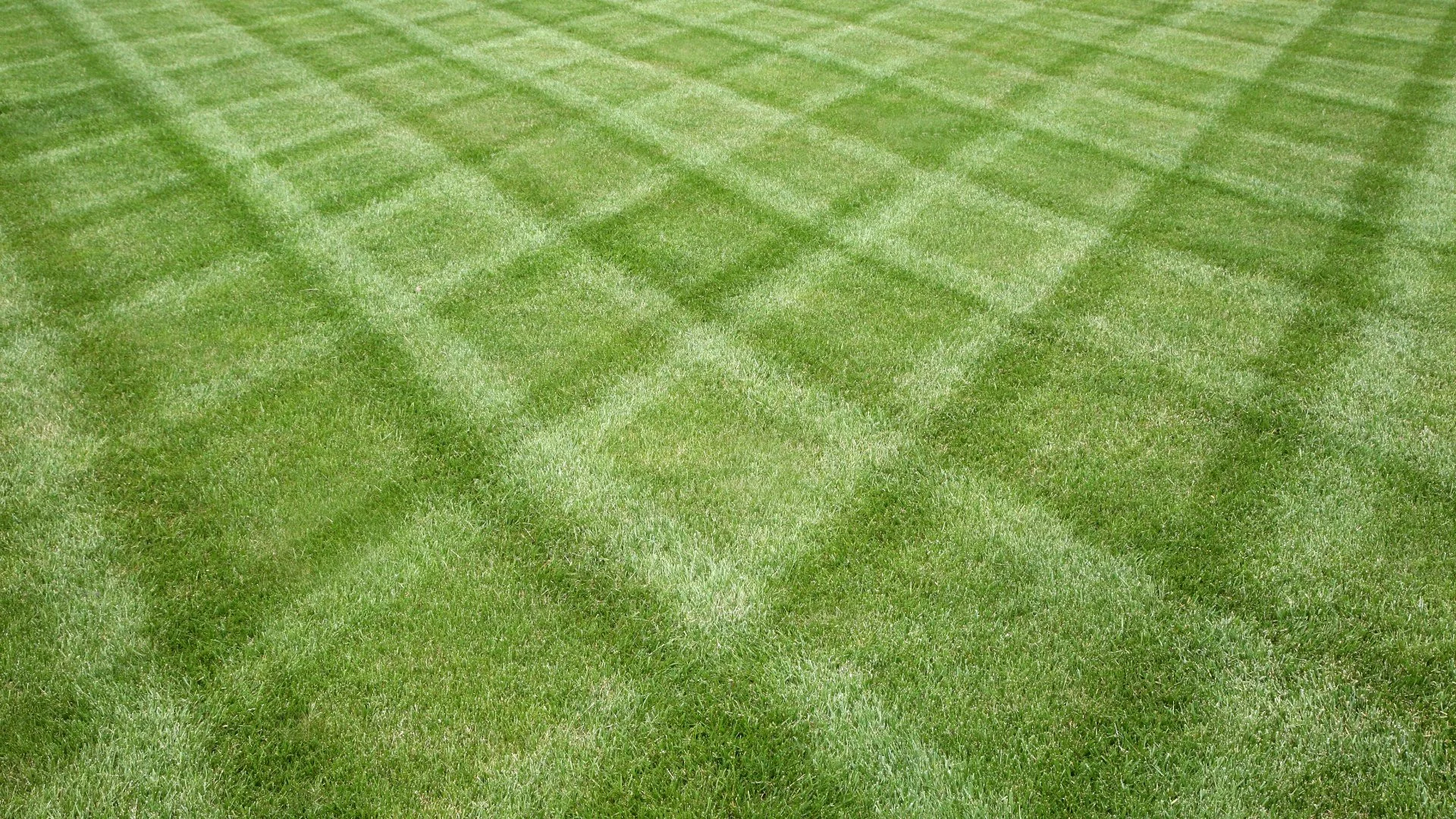 Should You Mow Your Lawn Before It’s Fertilized in the Spring?