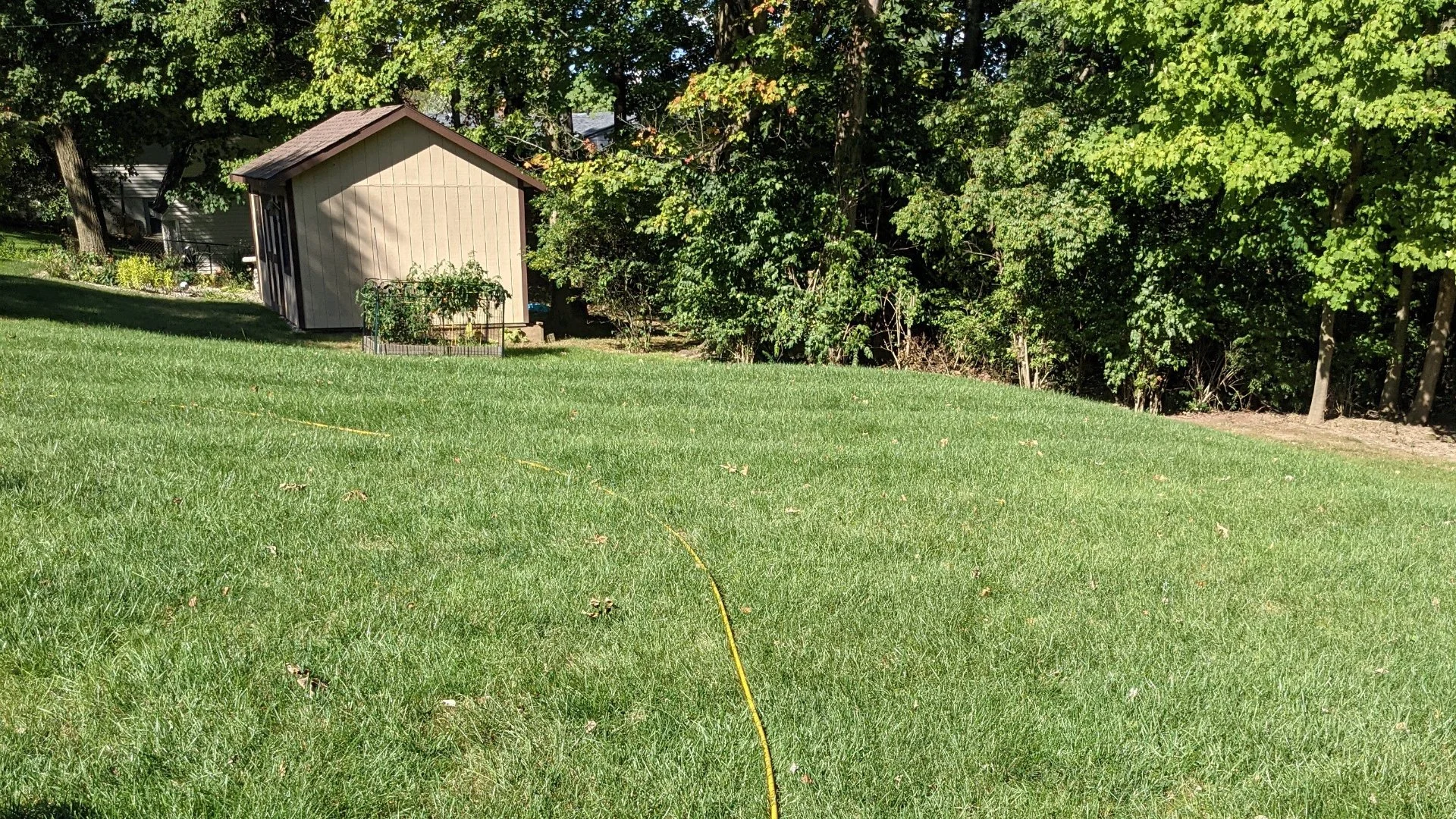 The Lawn Fertilizer You Use Matters - How Products Differ