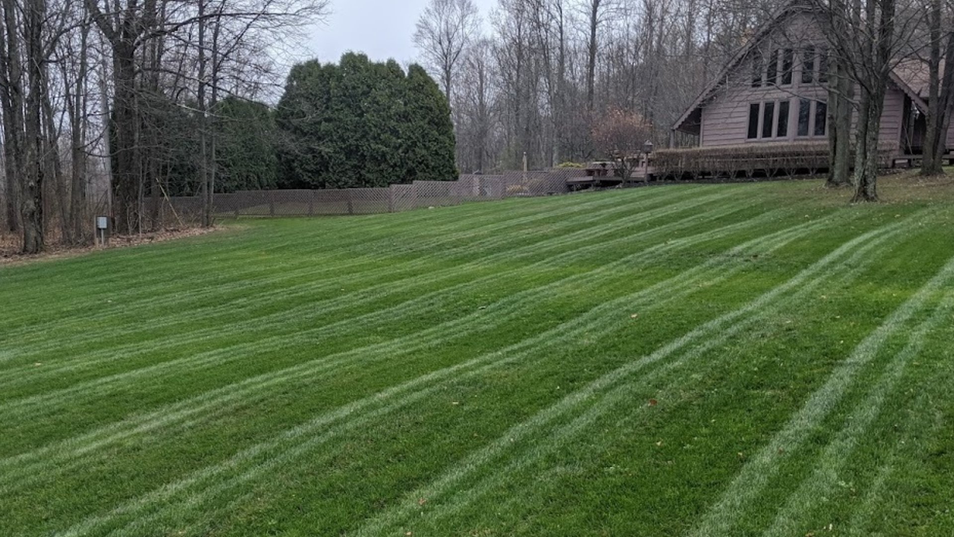 Summer Is Here! What Should You Be Doing for Your Lawn?