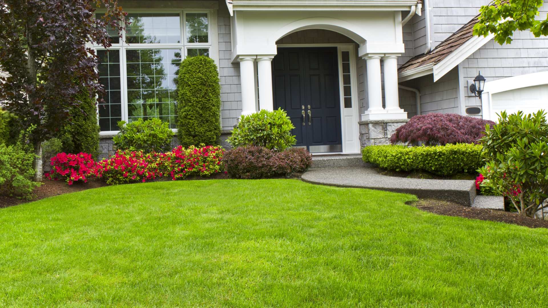 Healthy green lawn after services done by Free Spray in Shelby, OH.