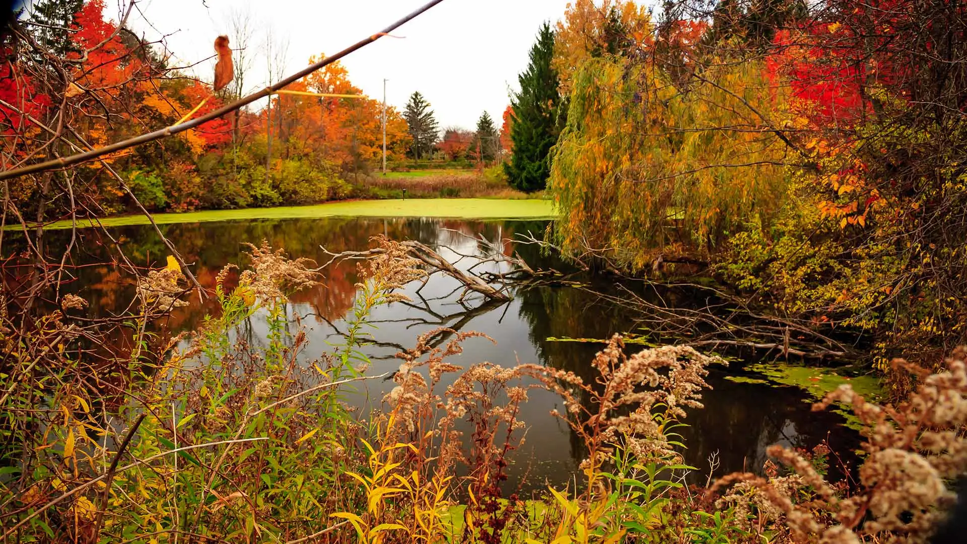 Hinckley, Ohio wetlands during the fall season.