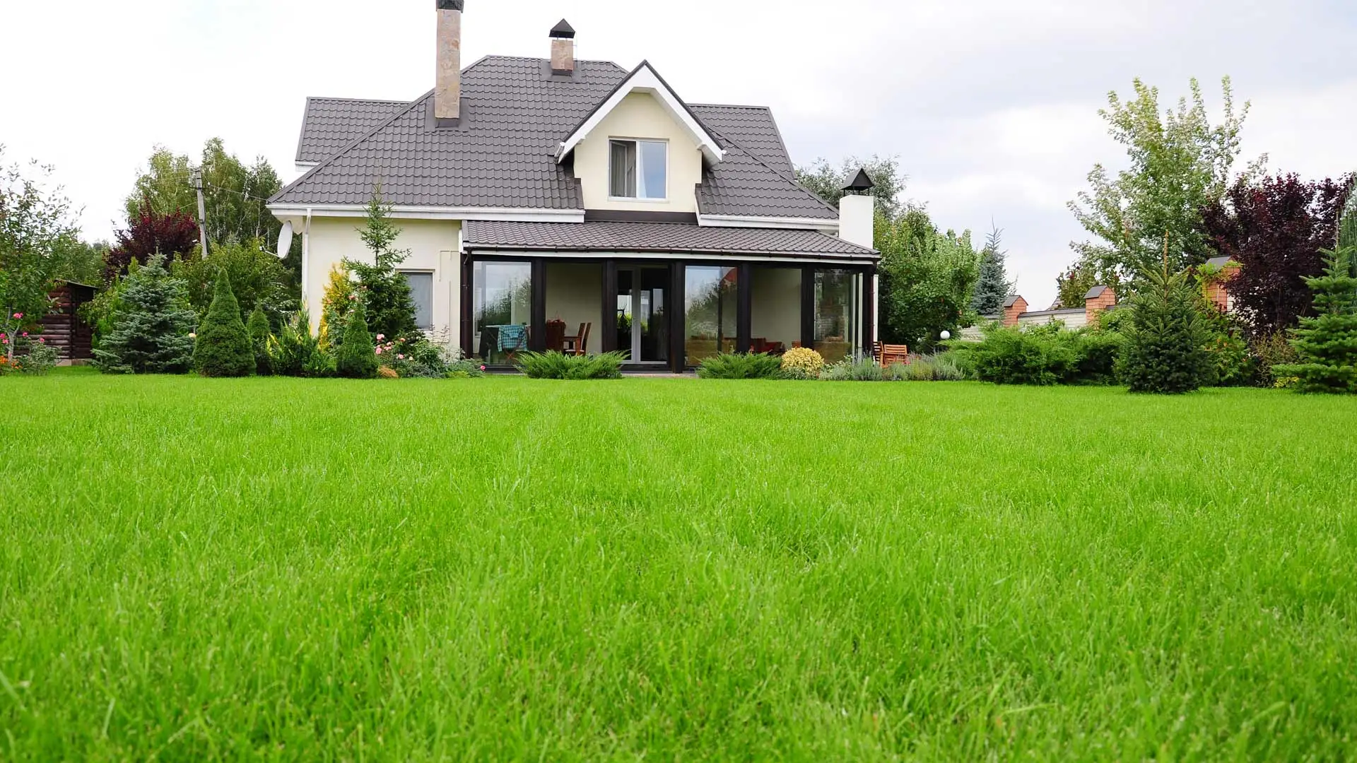 Want a Weed-Free Lawn? Use Both Pre- & Post-Emergent Weed Control