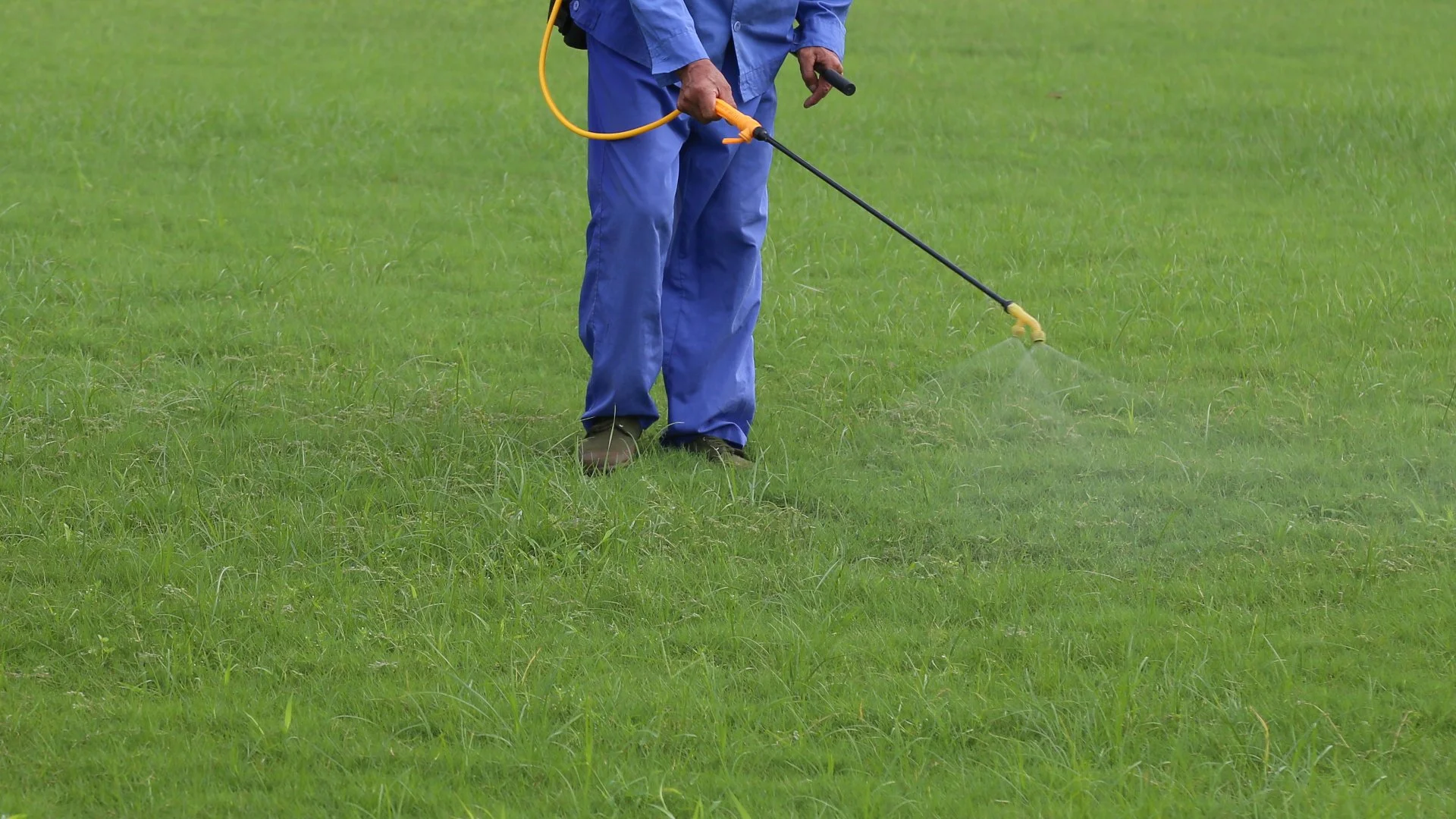 The Rundown on the Nutrients in Your Lawn Fertilizer & When They’re Needed