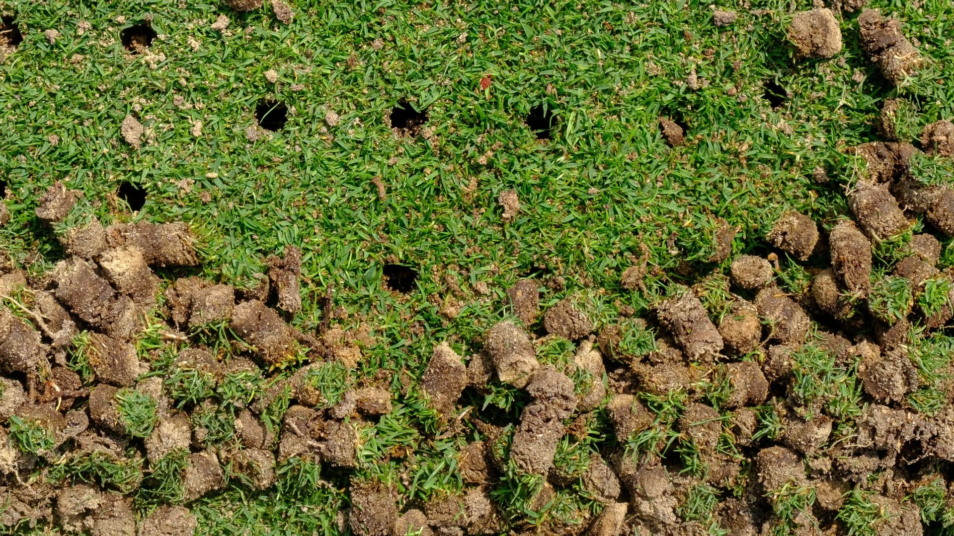 How to Prepare Your Lawn for a Core Aeration Service