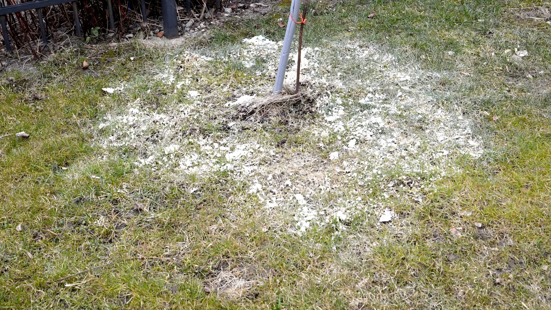 How to Tell if Your Lawn Could Benefit From a Lime Treatment