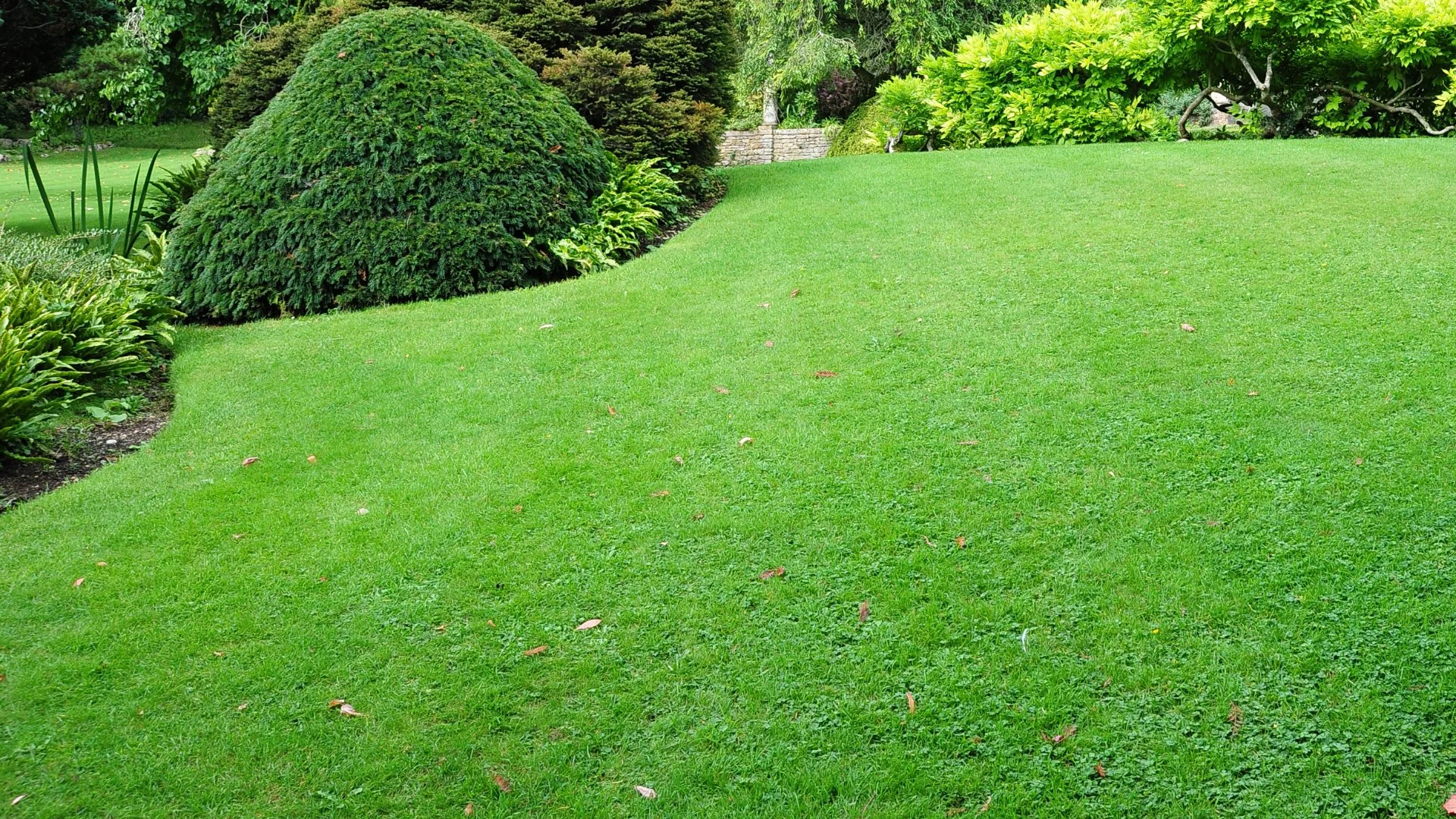 Should You Have Your Lawn Fertilized During the Fall Season?