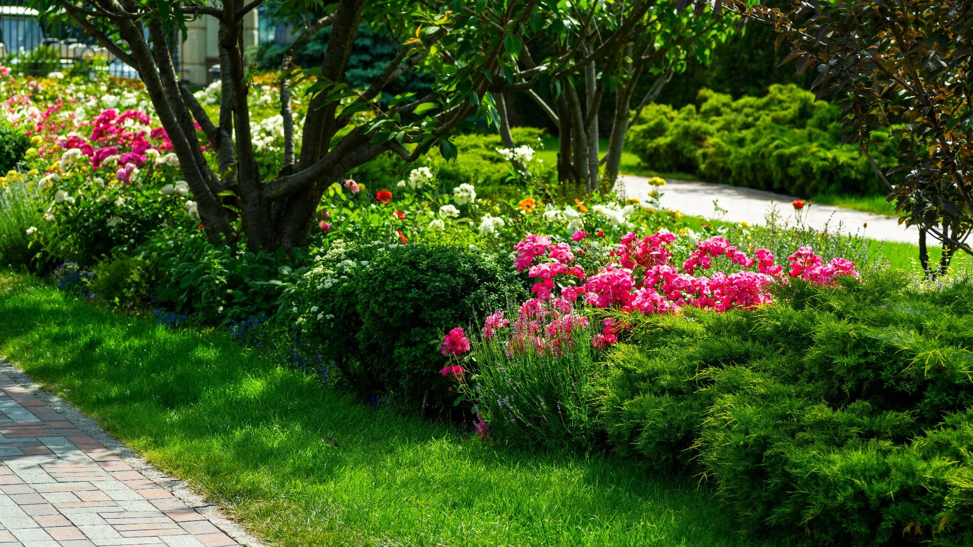 Should You Be Fertilizing Your Trees & Shrubs?