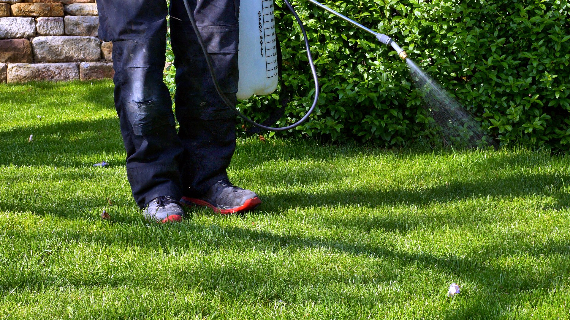 Should You Be Using Slow- Or Fast-Release Lawn Fertilizer?