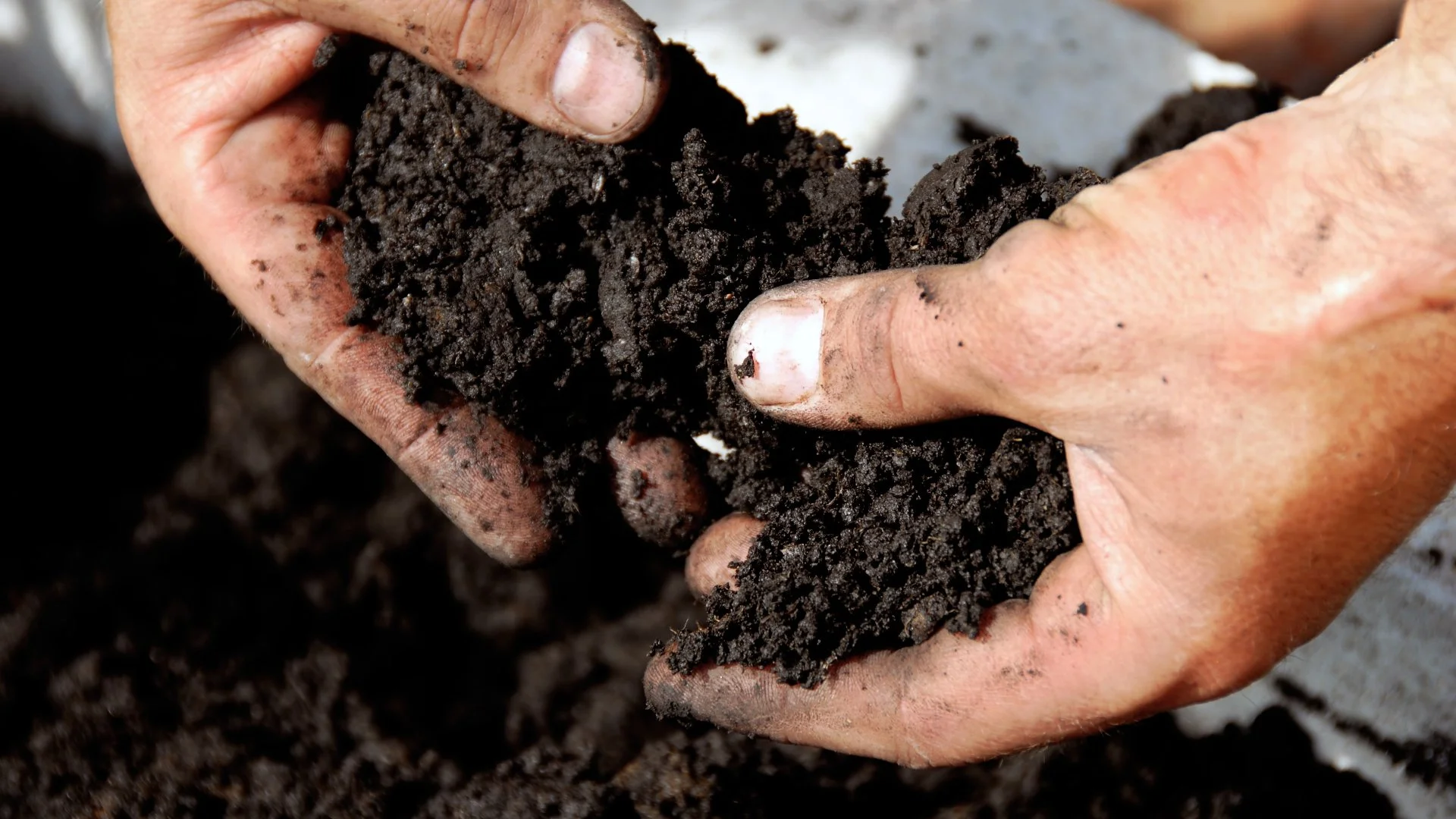 What Does It Mean if Your Soil Is Acidic & What Should You Do About It?