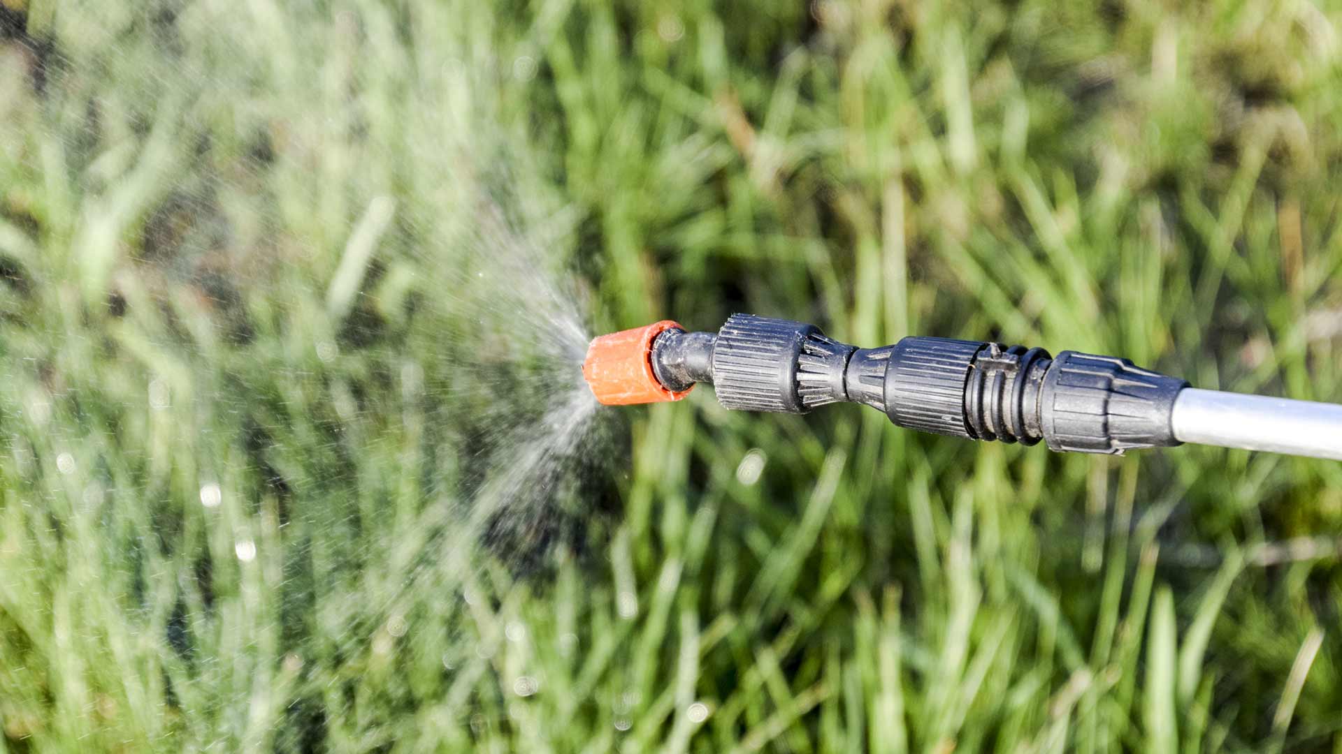 Spraying a lawn with weed control near Medina, OH.