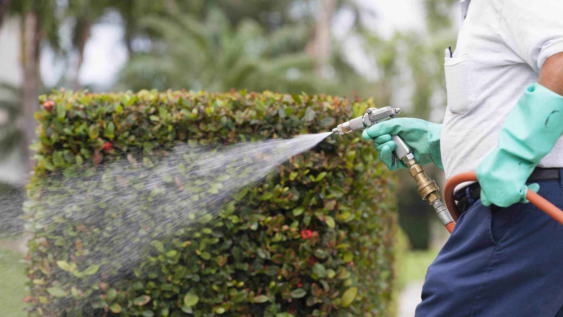 Spraying a lawn in Wooster, Ohio.