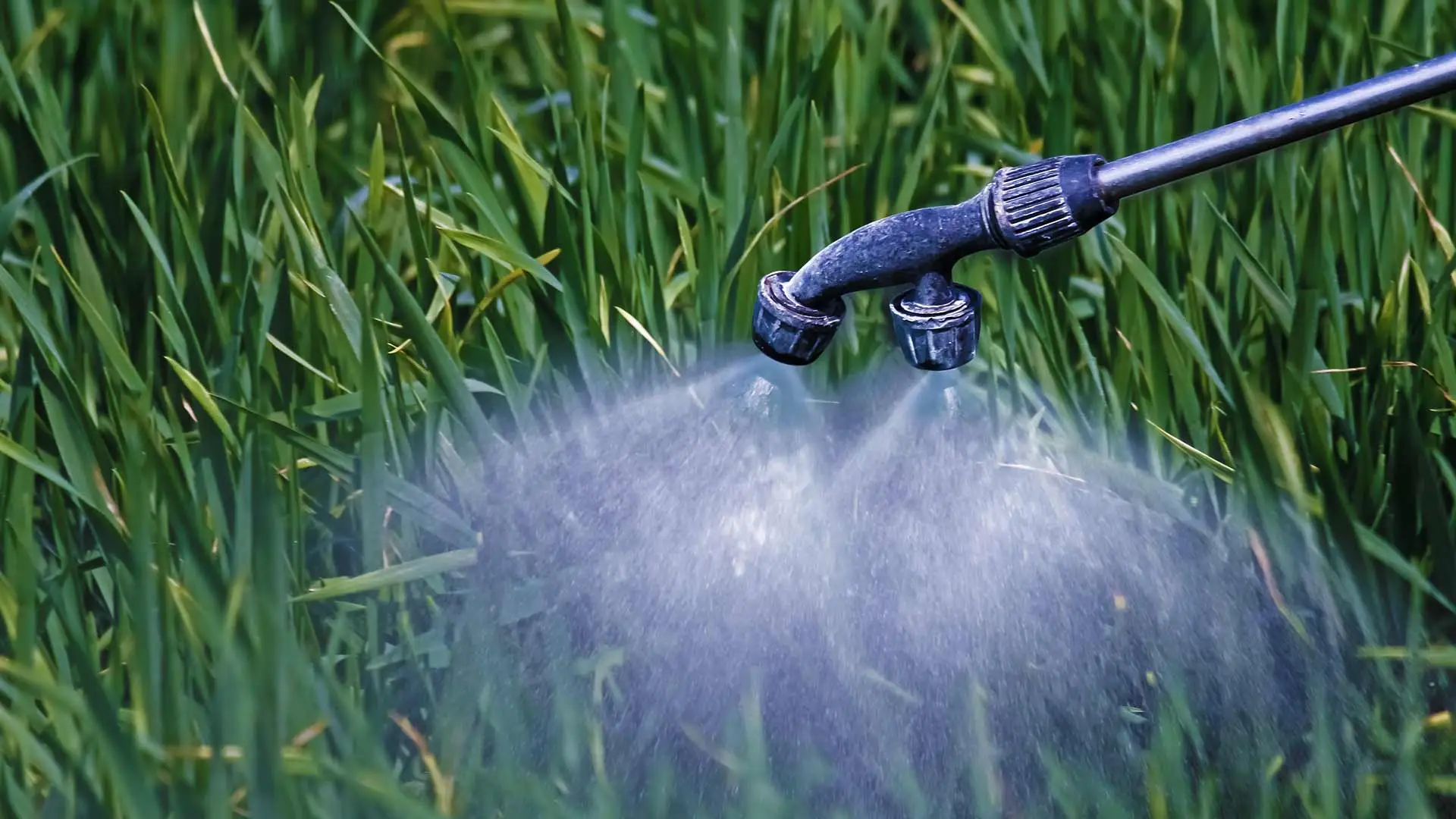 Spraying liquid fertilizer on lawn grass near Olivesburg, Ohio.