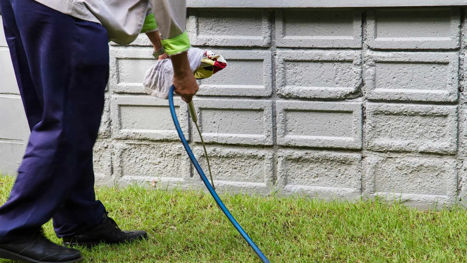 3 Things to Look for When Hiring a Perimeter Pest Control Company