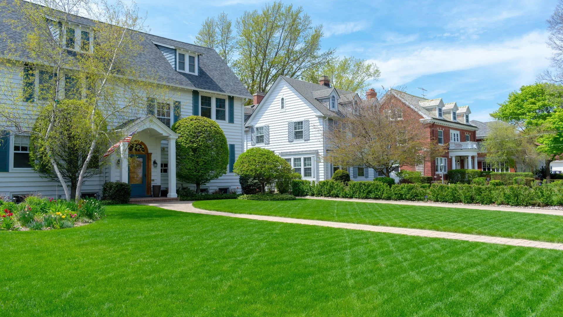 How Quickly Does Lawn Fertilizer Get Absorbed?