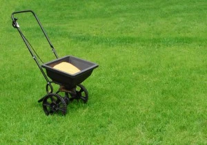 The Best Time to Fertilize your Lawn