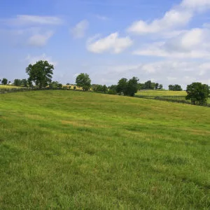 Caring for Kentucky Bluegrass: Mowing Tips and More