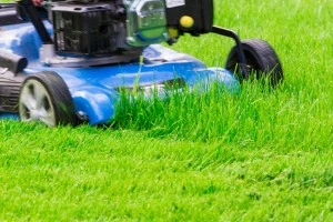 5 Essential Tips for Spring Lawn Mower Maintenance