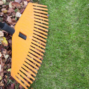 Fall Lawn Maintenance Musts to Get Your Grass Ready for Winter