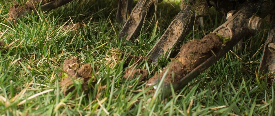 Aerator tines in Mansfield, OH, with soil.