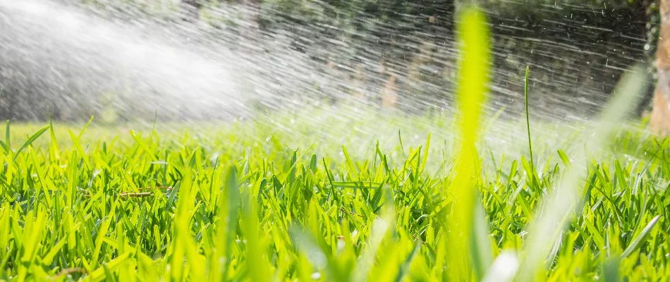 Applying liquid fertilizer on green grass in Mansfield, OH.