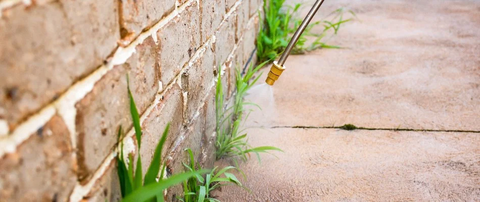 Applying pest control treatment around the foundation of a property in Mansfield, OH.