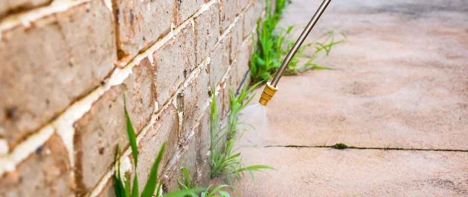 Building in Mansfield, OH, being sprayed with a pest treatment.