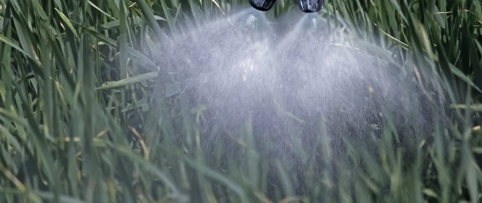 Dark grass in Mansfield, OH, being sprayed with a treatment.