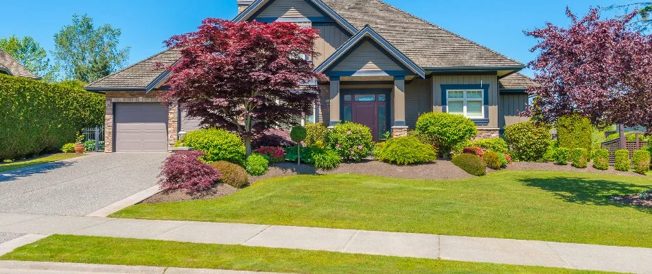 Front yard in Mansfield, OH, with grass and lush plants and trees.