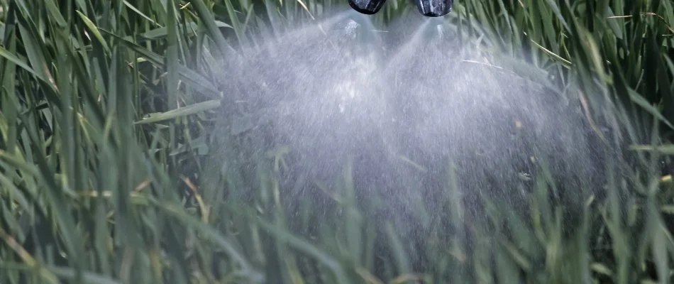 Lawn in Mansfield, OH, receiving a liquid fertilizer treatment.