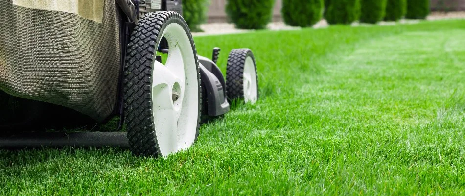 Lawn mower on green grass in Mansfield, OH.