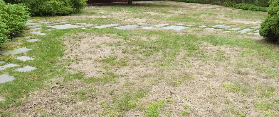 Lawn in Mansfield, OH, with patchy areas.