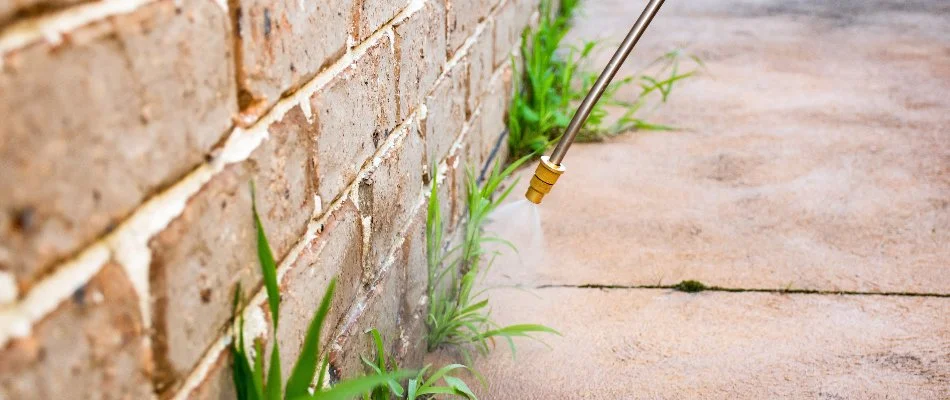 Pest treatment being sprayed along a building in Mansfield, OH.