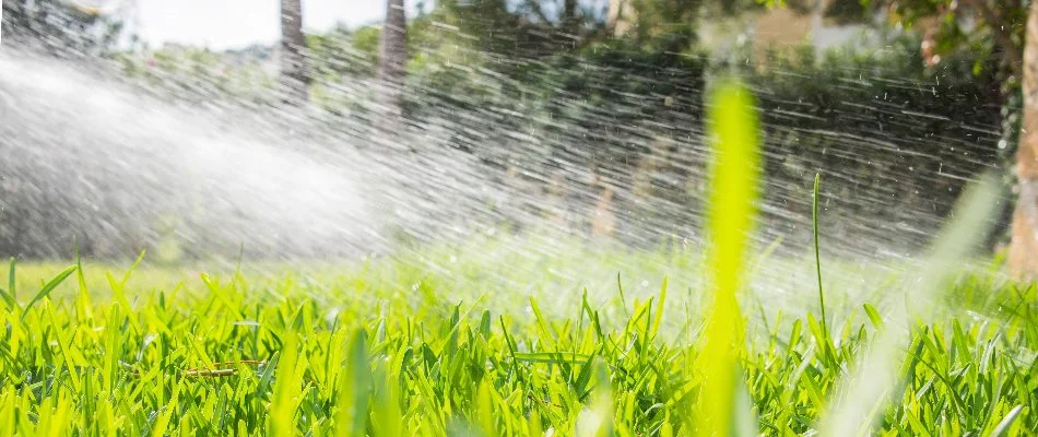 Watering a lawn in Mansfield, OH.