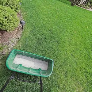 Fertilize Your Lawn Before the First Frost