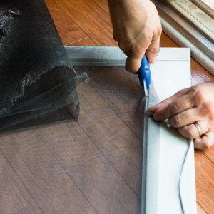 Tips for Fall Pest Prevention: Keep Unwelcome Guests out of Your House
