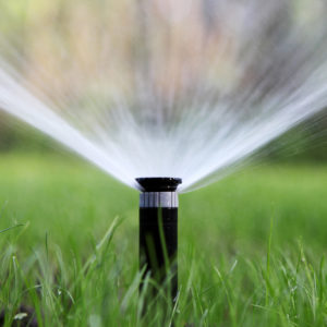 Summer Lawn Watering: A Guide to Take the Guesswork out of Greener Grass