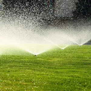 How to Choose the Best Lawn Sprinkler for Your Yard