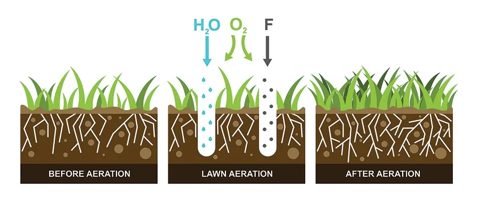 Core aeration infographic for lawns in the Mansfield, OH area.
