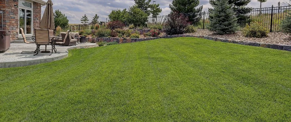 Fertilized lawn in Macedonia, OH, with patio and plants.