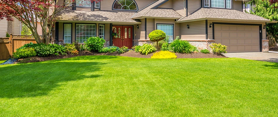 Stunning lawn that is regularly fertilized and aerated during the summer season in Broadview Heights, OH.