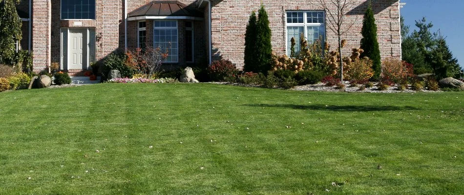 Healthy green lawn in Westlake, OH, with landscape plants.