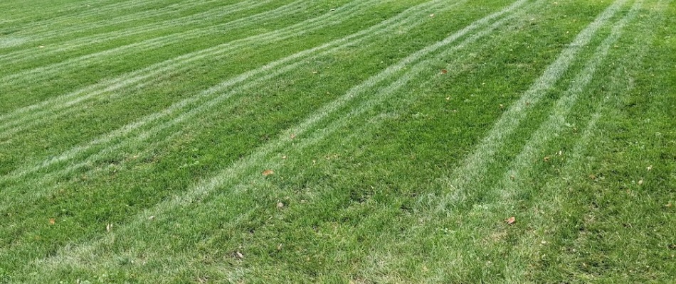 Healthy green lawn with pattern near Bellville, OH.