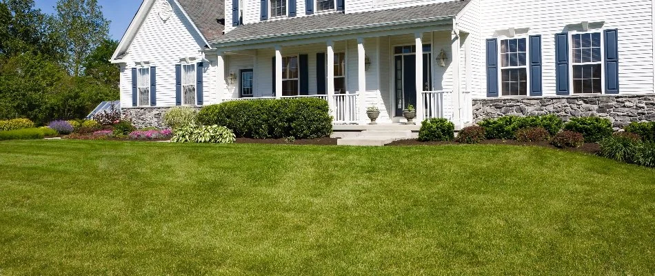 House in Akron, OH, with shrubs and green grass.