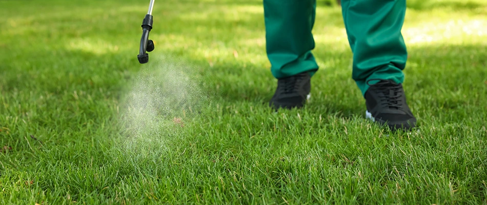 A lawn pest control expert is spraying a lawn in Mount Vernon, OH.