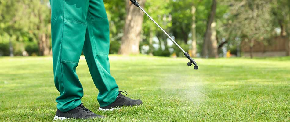 Lawn care expert treating a lawn for outdoor pests in Ashland, OH.
