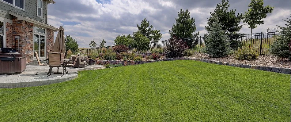 Lawn in the fall in Mansfield, OH.