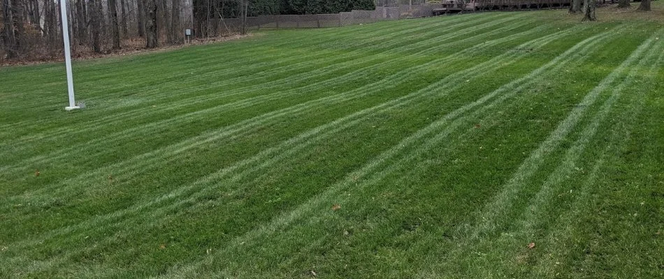 Mowed green grass in Blacklick, OH.